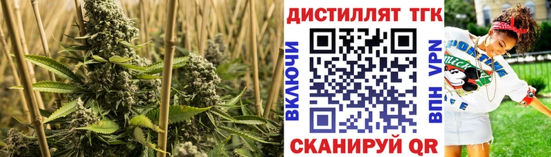 blacksprut   Пересвет  ТГК концентрат 