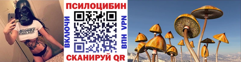 Псилоцибиновые грибы Cubensis Пересвет
